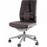 Podpórka pod plecy Professional Series™ Fellowes