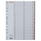 Przekładki plastikowe numeryczne A4 1-54 szare ESSELTE 100109