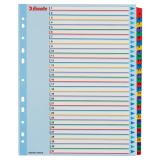 Przekładki kartonowe MYLAR A4 MAXI 1-31 ESSELTE 100210